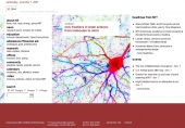 new frontiers in brain science: from molecules to mind
