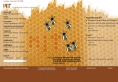 honeybee dances help explain the sting of the stock market grad student's math model brings order to complex systems
