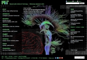 A new look at neurological disease